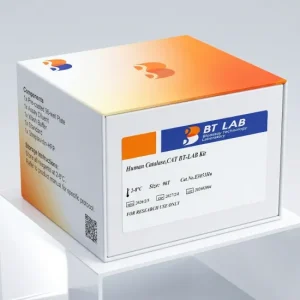 human-catalase-cat-elisa-kit-e3053hu-96t