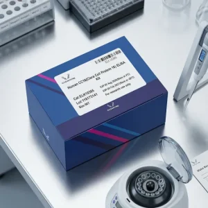 human-cc16clara-cell-protein-16-elisa-kit-elk10305-96t