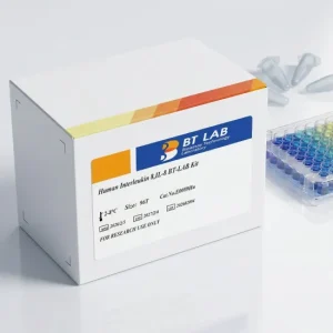 human-interleukin-8-il-8-elisa-kit-e0089hu-96t