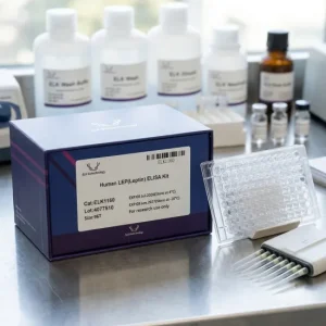 human-lepleptin-elisa-kit-elk1160-96t