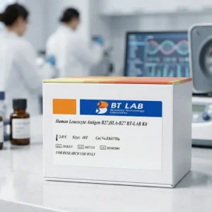 human-leucocyte-antigen-b27-elisa-kit-e0437hu-48t