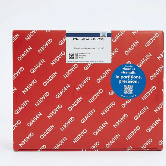 RNeasy® Mini Kit 74106 - Image 2