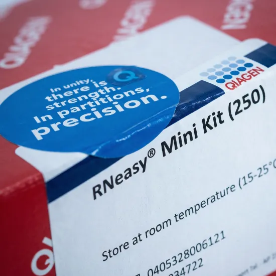 RNeasy® Mini Kit 74106 - Image 4